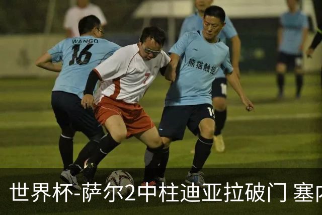 世界杯-萨尔2中柱迪亚拉破门 塞内加尔半场暂1-0比利时